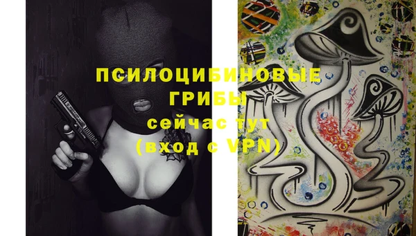 трава Армянск