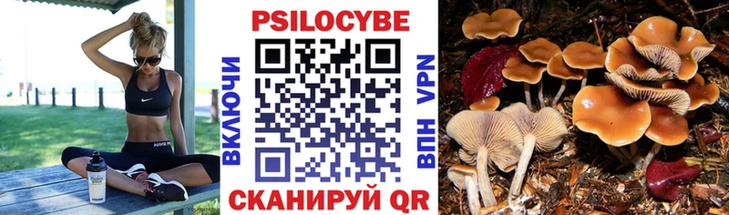 Псилоцибиновые грибы прущие грибы  hydra как зайти  Можайск 